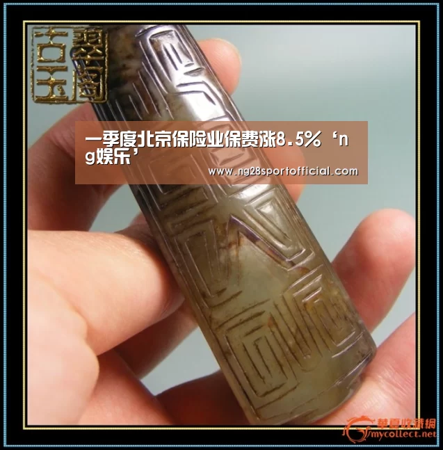 一季度北京保险业保费涨8.5%‘ng娱乐’(图1) 南宫娱乐官网