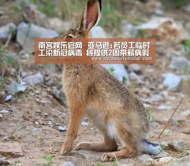 南宫娱乐官网-亚马逊:若员工临时工染新冠病毒 将提供2周带薪病假(图1) 南宫娱乐官网